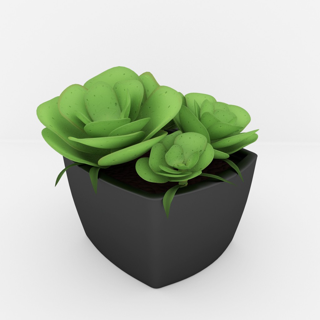 Succulent plant preview image 1